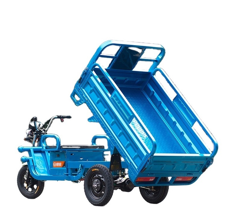 New Product 1000W Delivery Electric Cargo Tricycle Three Wheel Electric Tricycle Cargo Truck Motorcycle 3 Wheel