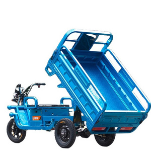 New Product 1000W Delivery Electric Cargo Tricycle Three Wheel Electric Tricycle Cargo Truck Motorcycle 3 Wheel