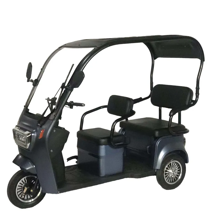 Passenger Electric Tricycle Three Wheel Bicycle for Adult Electric Scooter Taxi with Roof