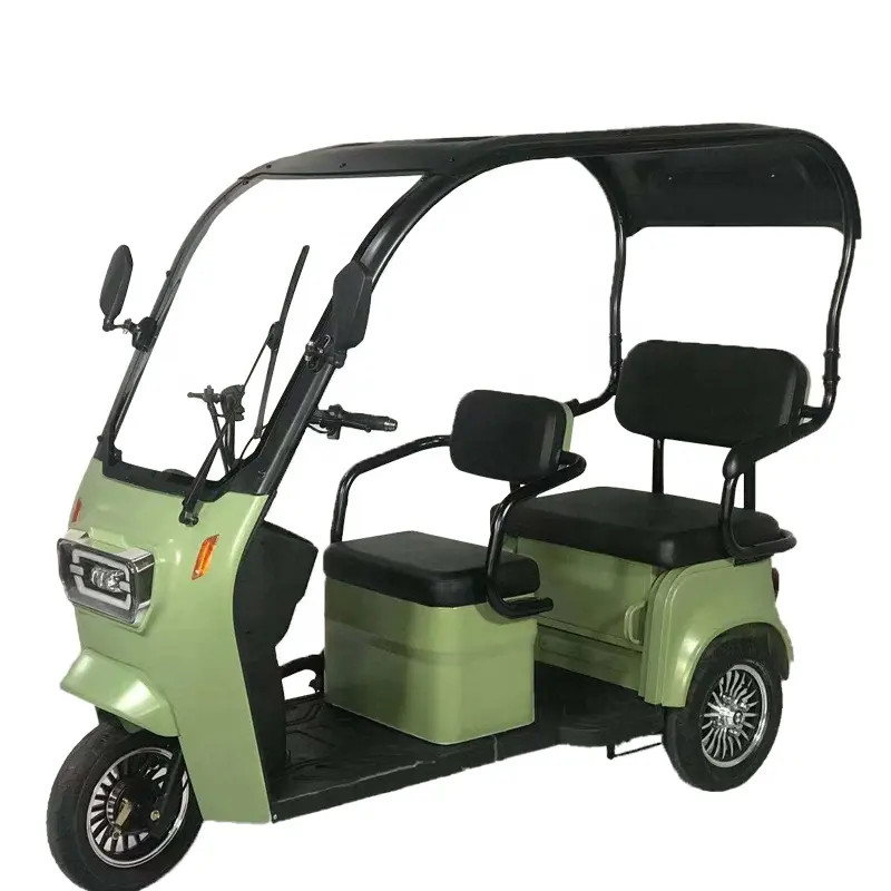 Passenger Electric Tricycle Three Wheel Bicycle for Adult Electric Scooter Taxi with Roof