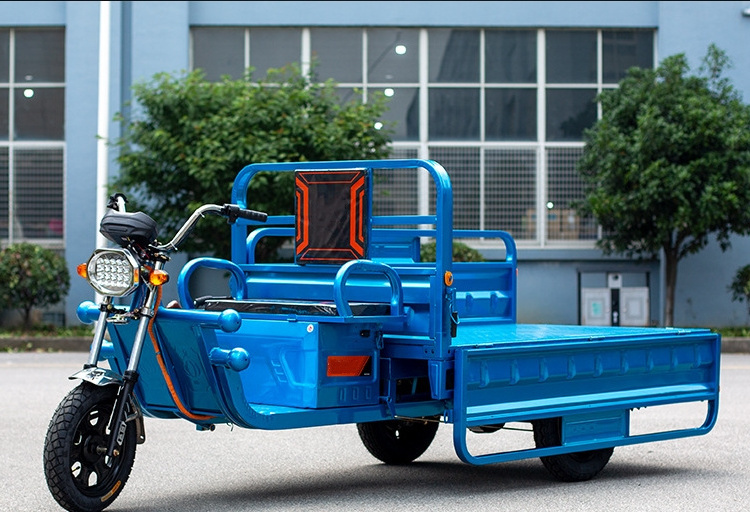 New Product 1000W Delivery Electric Cargo Tricycle Three Wheel Electric Tricycle Cargo Truck Motorcycle 3 Wheel