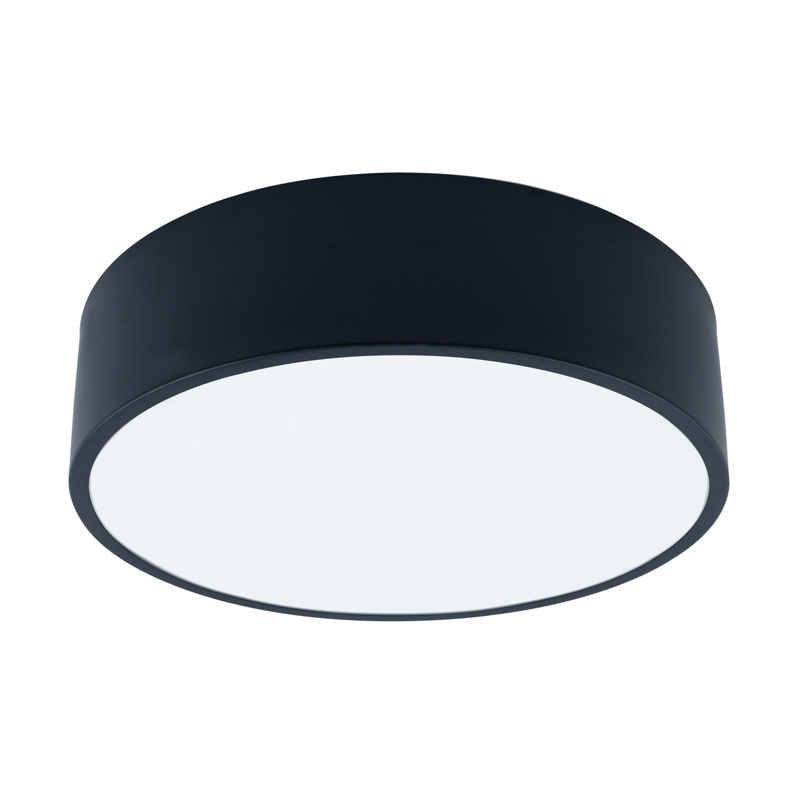 Flush Mount Matte Black/White Ceiling Lamp Modern Design Popular Lighting Fixture Ceiling Lighting For Wholesale Hotel Project