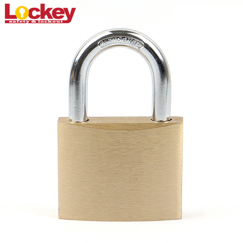 Top Security Custom 30mm 50mm 70mm Steel Shackle Pad lock Brass Padlock