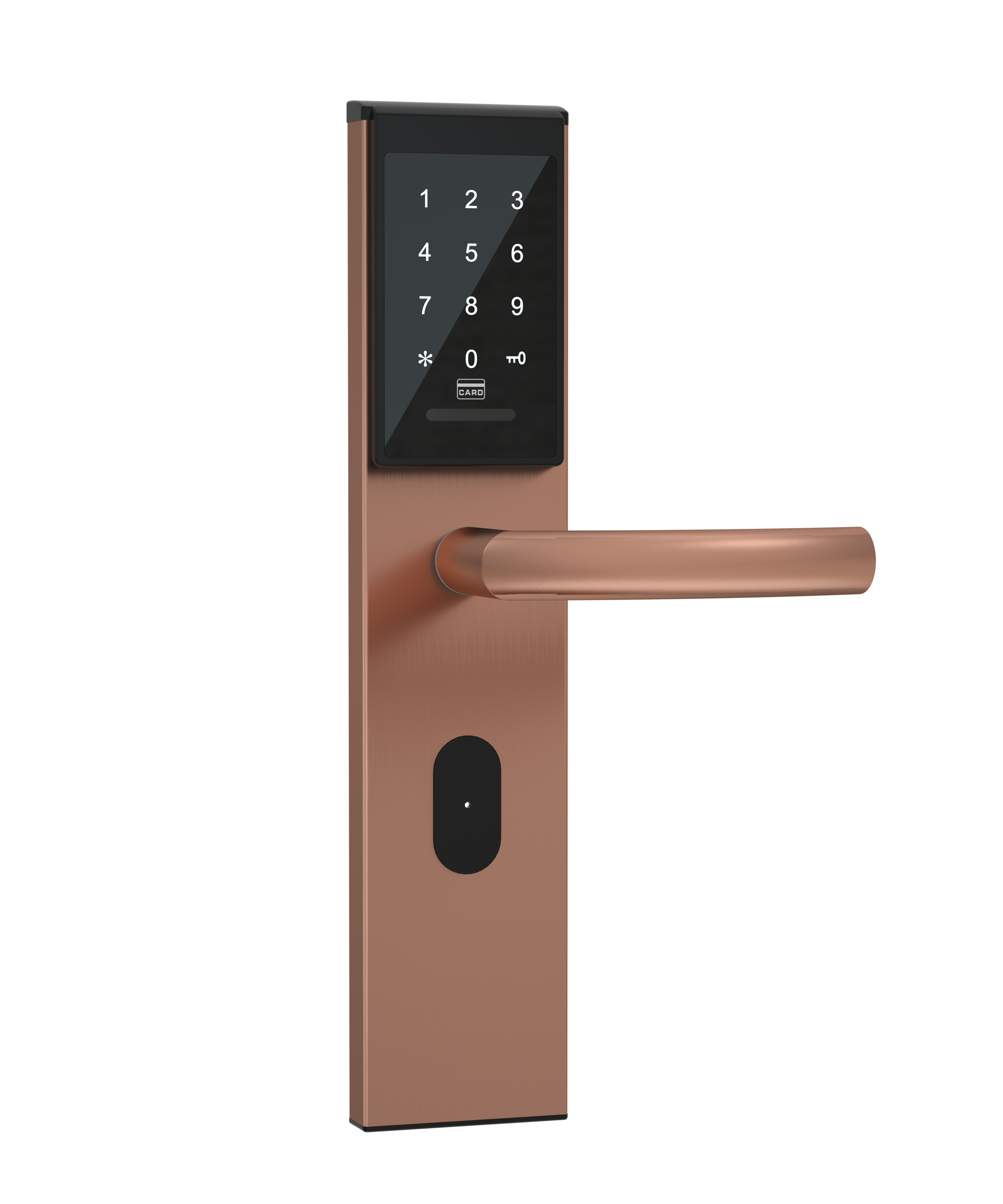 Digital Biometric Fingerprint Door Lock Temic Card Wooden Departamento cajon placard Metal Door Lockers