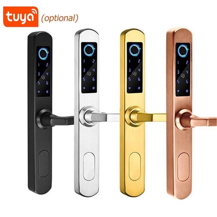 Atopkoo waterproof antifreezing inteligente biometric fingerprint outdoor smart Lock