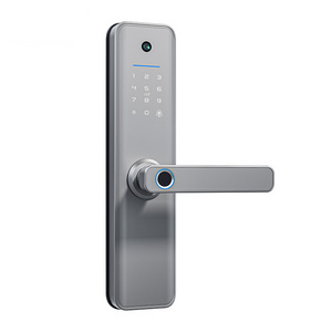 Popular Automatic Intelligent Wireless Digital Code Smart App Fingerprint Bige gate Camera Wood Door Lock