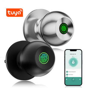 Electronic Digital Keypad Code Smart Fingerprint Ball Lock Deadbolt Security Ble Tuya App Knob Door Lock