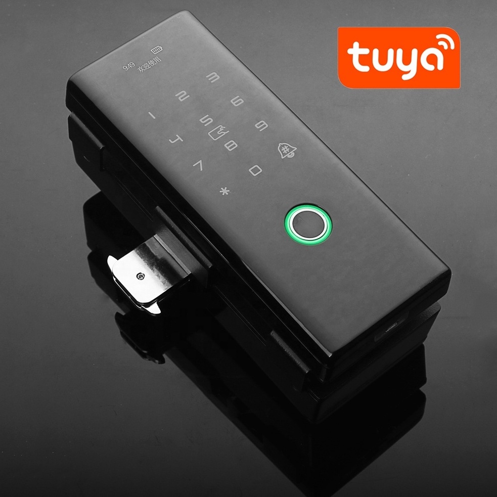 Tuya Cat Eye Remote Sliding Glass door Metal Smart Lock 3D Face Recognition Fingerprint Door Locks With Work Attendance