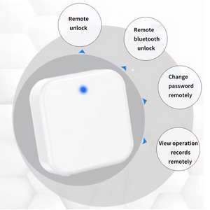 TTlock Smart Locks Gateway G2 Wifi 2.4G Pair The Gateway With BLE And WiFi For Remote Control Smart Door Lock