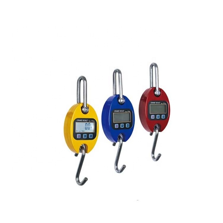 500 Kg 300Kg Manual Lightweight Fabric 30Kg Digital Weight Crane Scale