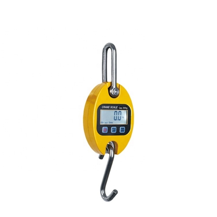 500 Kg 300Kg Manual Lightweight Fabric 30Kg Digital Weight Crane Scale