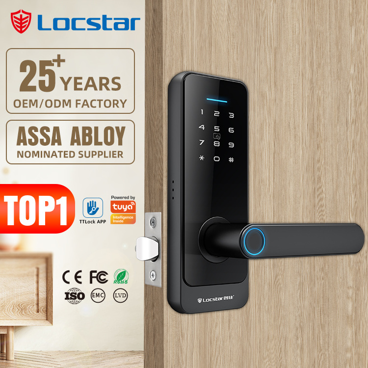 Shenzhen Locstar Home Smart Cerradura Serrure Digital Card Fingerprint Password Electric Mortise Key Interior Door Lock