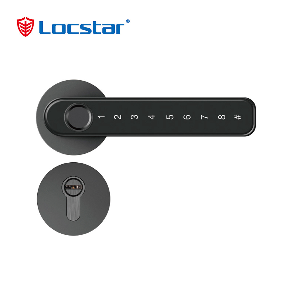 Locstar Tuya Fingerprint Electric Handle Lock Ttlock Smart Home Door Lock Biometric Fingerprint Lock For Wooden Door