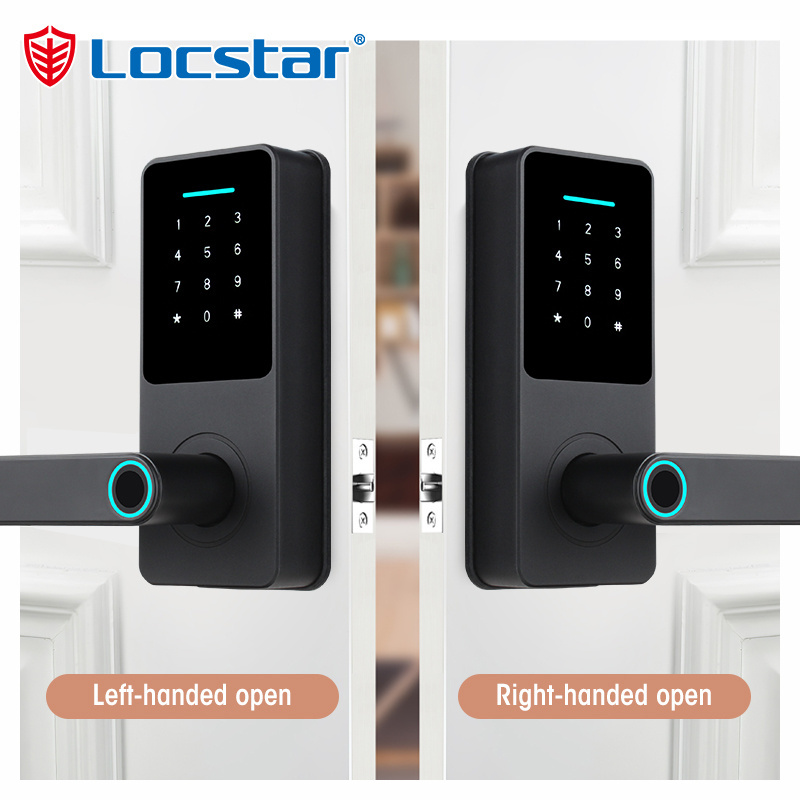 Locstar Security Keyless Digital Key TTlock Outdoor Gate Biometric Smart Door Lock with Fingerprint Wifi Glass Electric Keypad