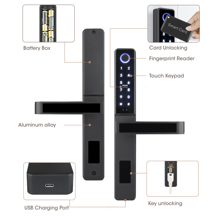 Small Euro Style Safe Digital Door Lock Smart Wifi Fingerprint Key Card Code Traditional Europe Standard with TUYA Network