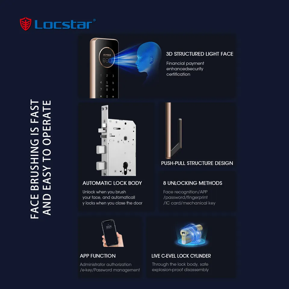 Locstar Factory Wholesale Keyless Entry Door Smart Deadbolt Fingerprint Fully Automatic Lock