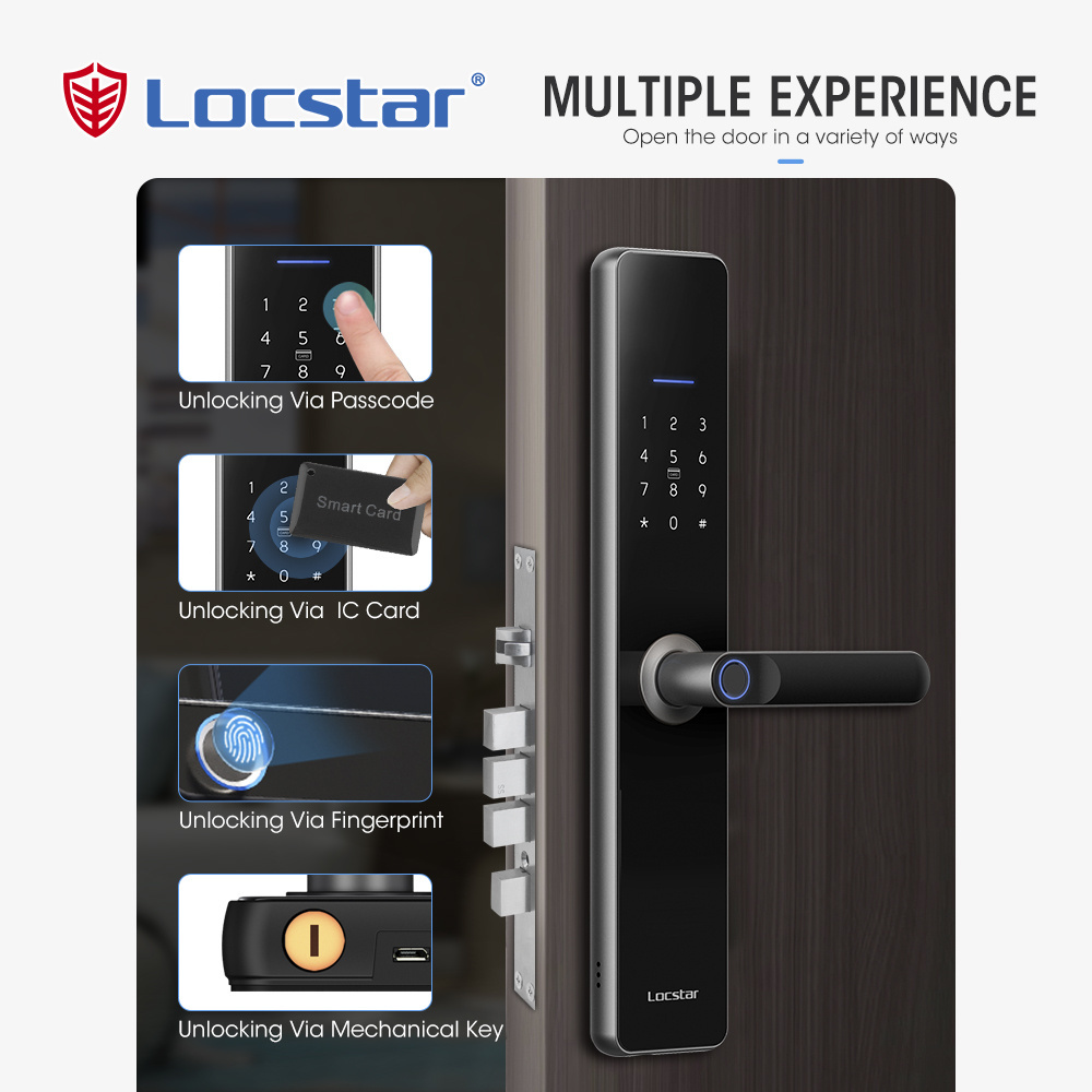 Locstar High Quality Electronic Finger Print Serrure Intelligent Handle Mortise Magnetic For Main Door Lock