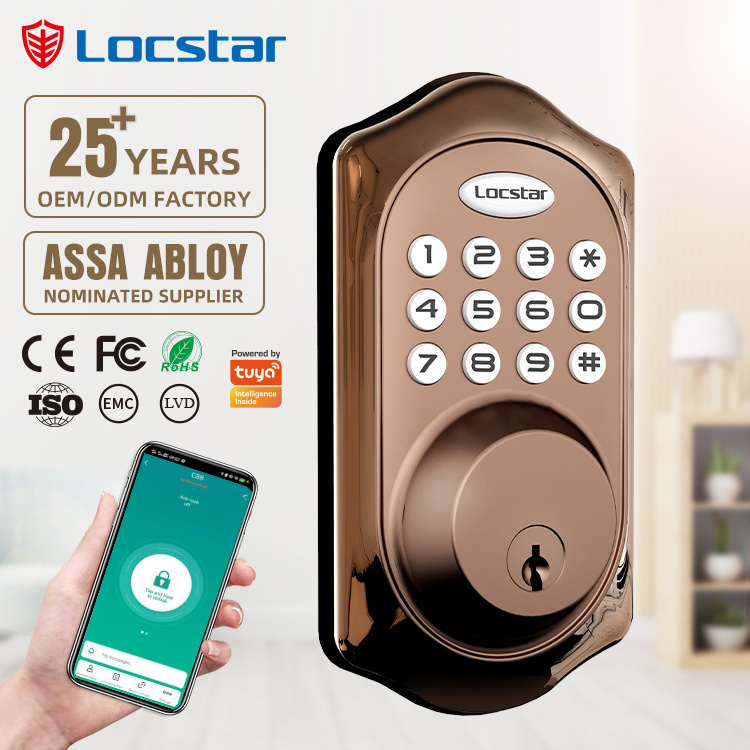 Locstar Smart Door Lock Gold Combination with Keys from Shenzhen Features Password App