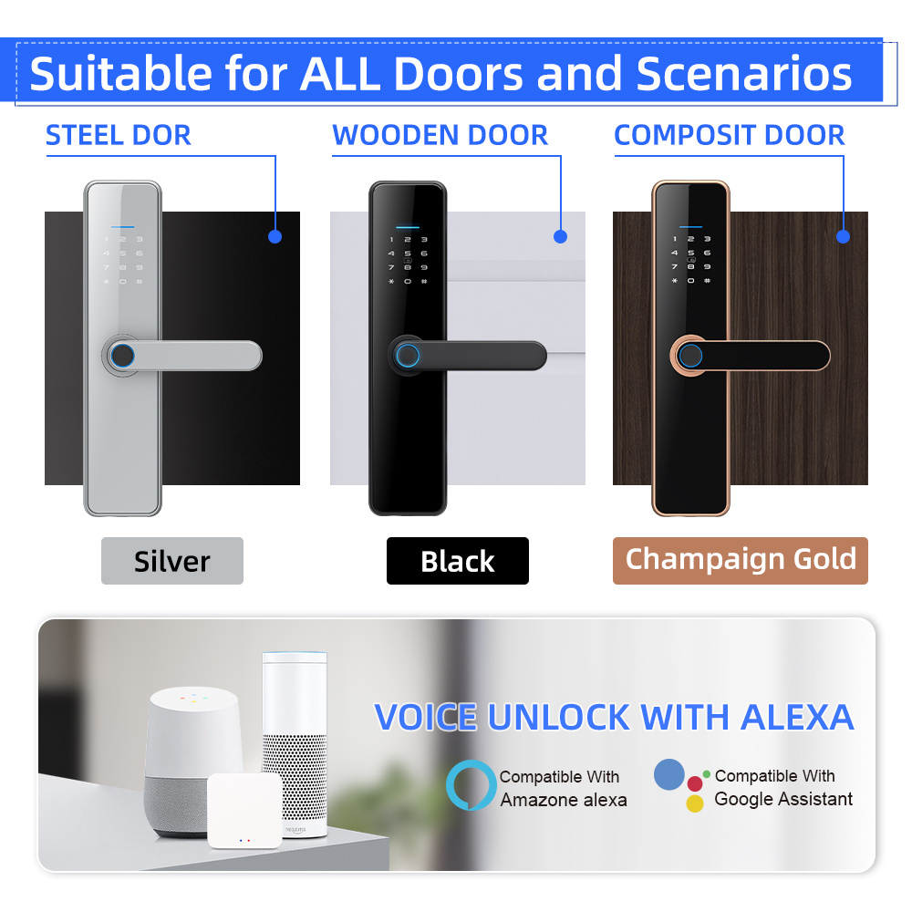 2024 Locstar C91 remote door smart lock digital smart door lock intelligent Tuya TT Wifi Keys Fingerprint Brass Door Smart Locks