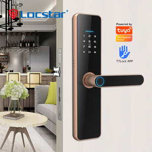 Fingerprint Wifi Digit Electronic Digital Tuya Ttlock Electric Handle Security Keys Smart Door Lock For Double Door