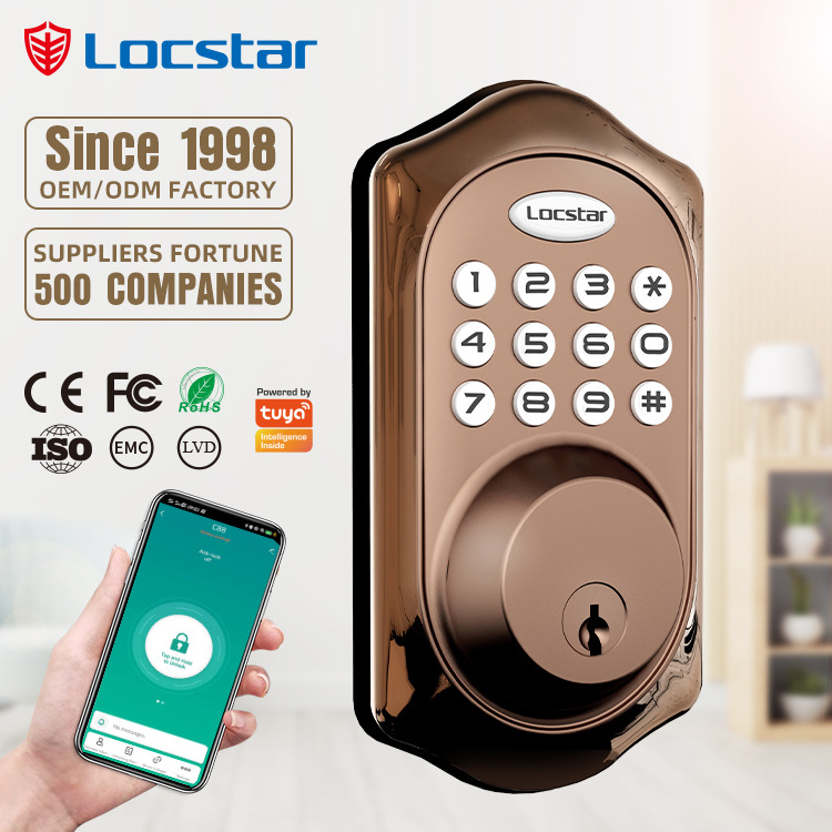 European Smart Electronic Combination Lock Cerradura Inteligente Deadbolt Smart Door Lock For Outdoor Door Security