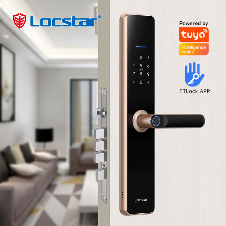 Locstar Serrur Intellig Electric Waterproof Outdoor Indoor Smart Door Locks For Aluminium Doors