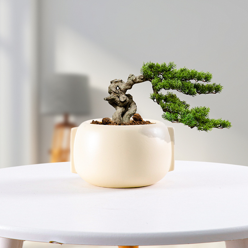 Nordic Ceramic Flower Pot White Creative High Foot Mushroom Pot Green Plant Sea Taro Butterfly Orchid Flower Pot