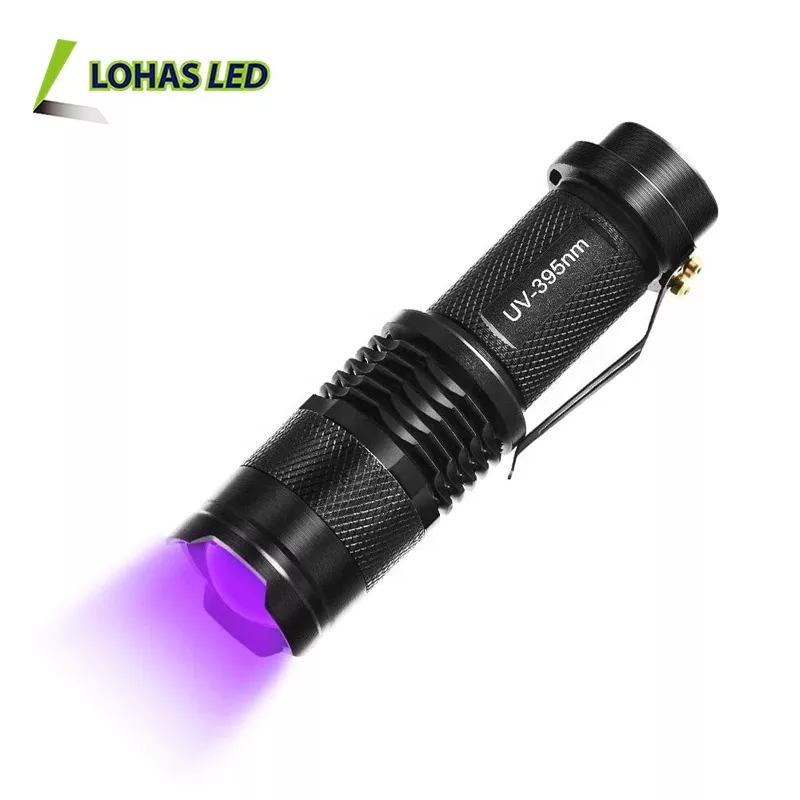 Powerful Mini 12 LED UV-395nm Light 3 AAA Dry Batteries Help to Clean Carpet or Toilet LED Torch Light Flashlight