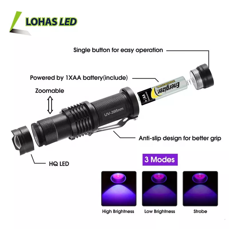 Powerful Mini 12 LED UV-395nm Light 3 AAA Dry Batteries Help to Clean Carpet or Toilet LED Torch Light Flashlight