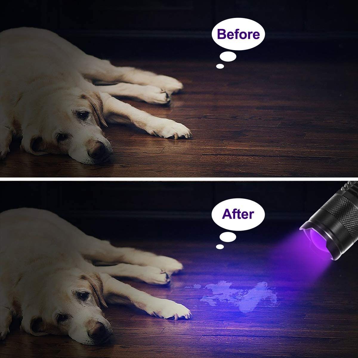 Powerful Mini 12 LED UV-395nm Light 3 AAA Dry Batteries Help to Clean Carpet or Toilet LED Torch Light Flashlight