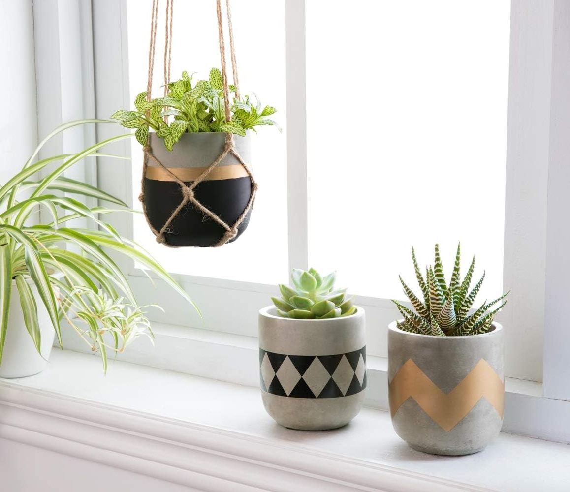 Modern Nordic Mini Concrete Succulent Potted Flowers Cement Cactus Plant Pot for Desktop