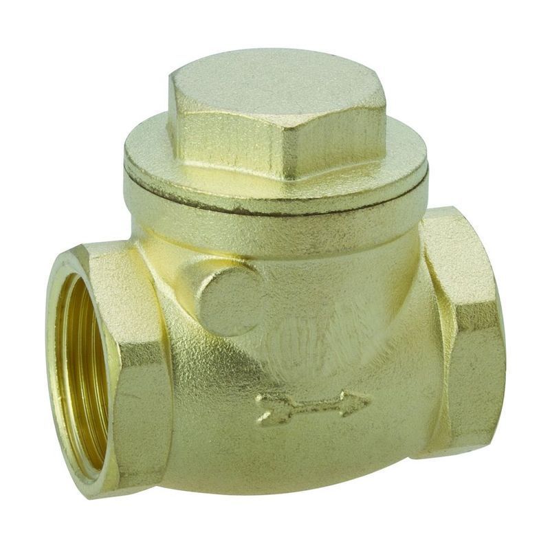 Water Check Valve  One Way Valve PVC Material With Sizes