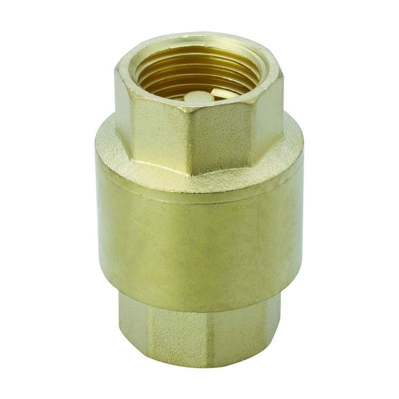 Water Check Valve  One Way Valve PVC Material With Sizes