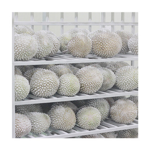 High Quality Musang King Durian Top Grade Wholesale Frozen Durian Fruit Malaysia