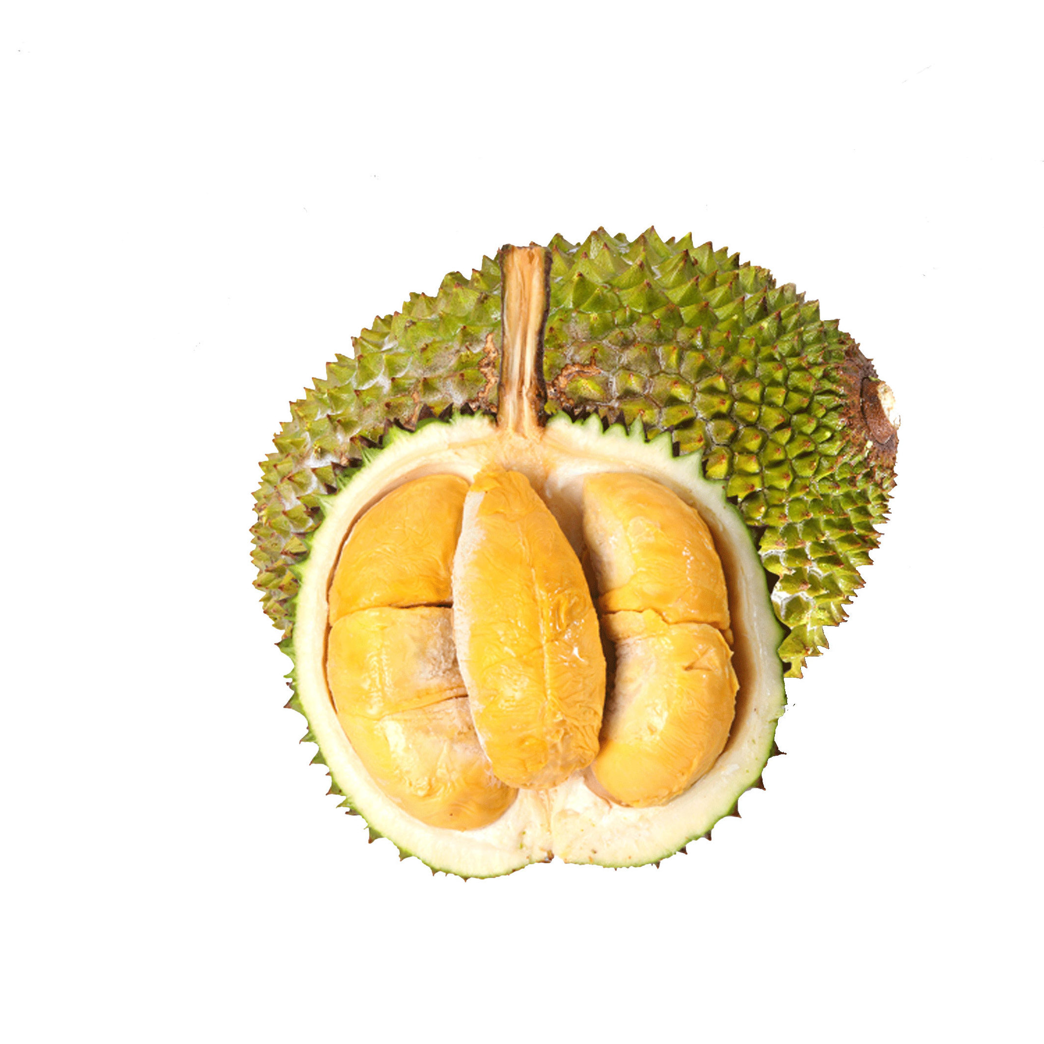 High Quality Musang King Durian Top Grade Wholesale Frozen Durian Fruit Malaysia