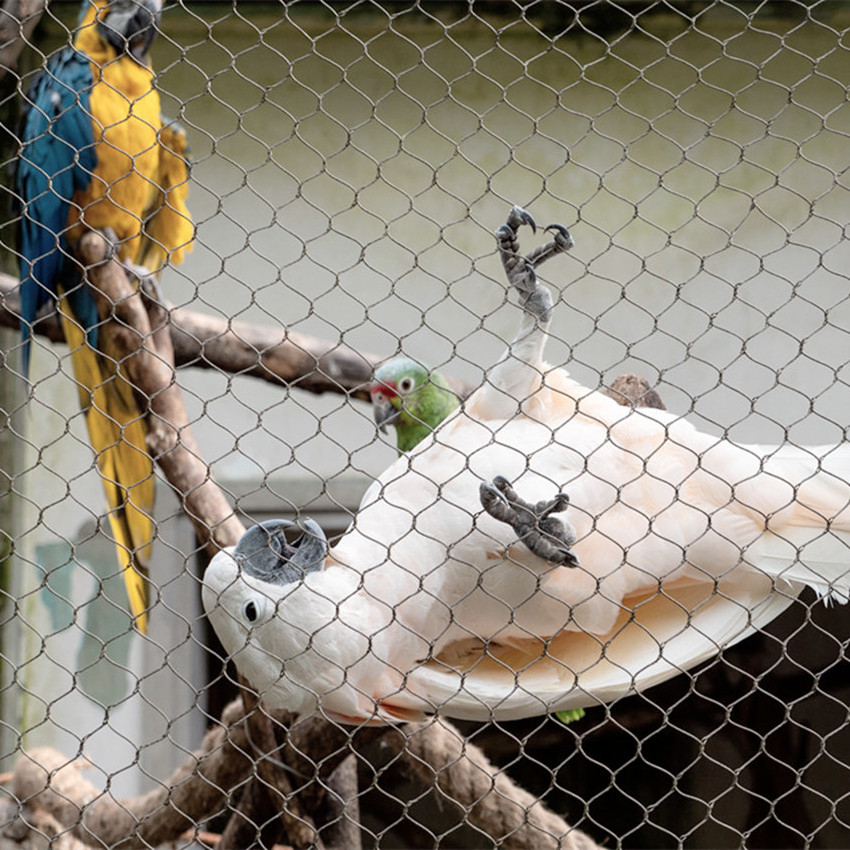 Macaw aviary wire mesh / bird aviary mesh panels /  Stainless steel Walk-In Aviary Mesh