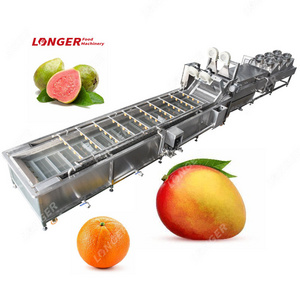 Gelgoog Guava Krystal and Vegetable Cut Clean Air-Dry Equipment Orange Mango Fruit Wash Waxing Machine