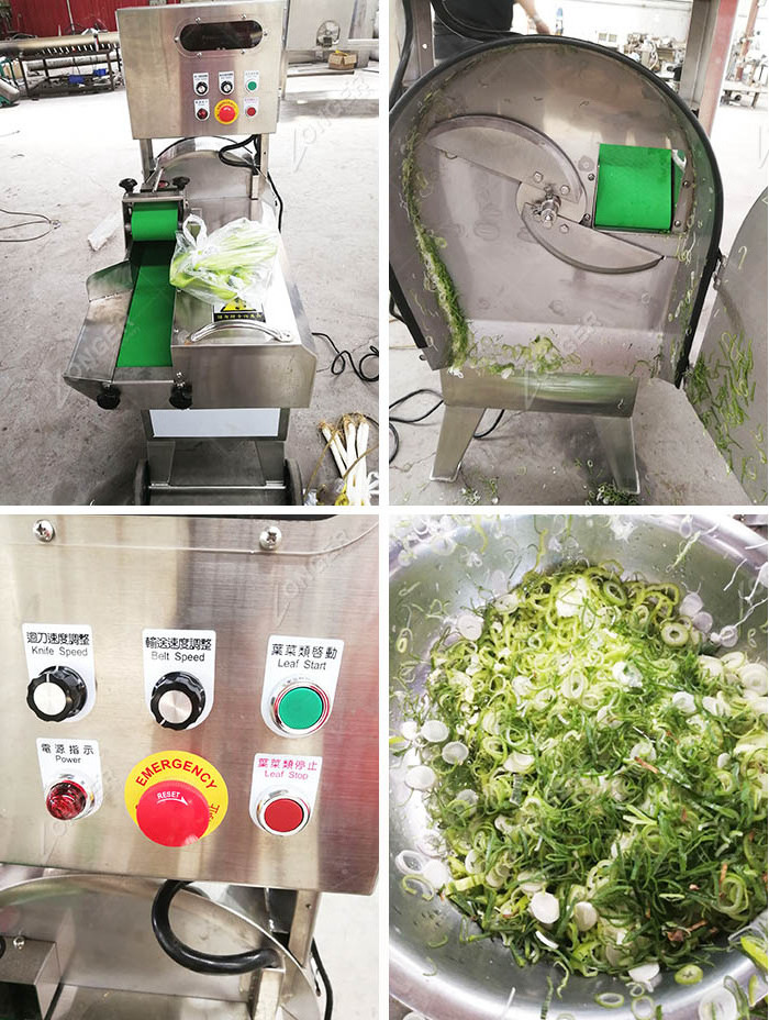 Green Chili Ring Cutting Machine|Onion and Cabbage Slicer Machine