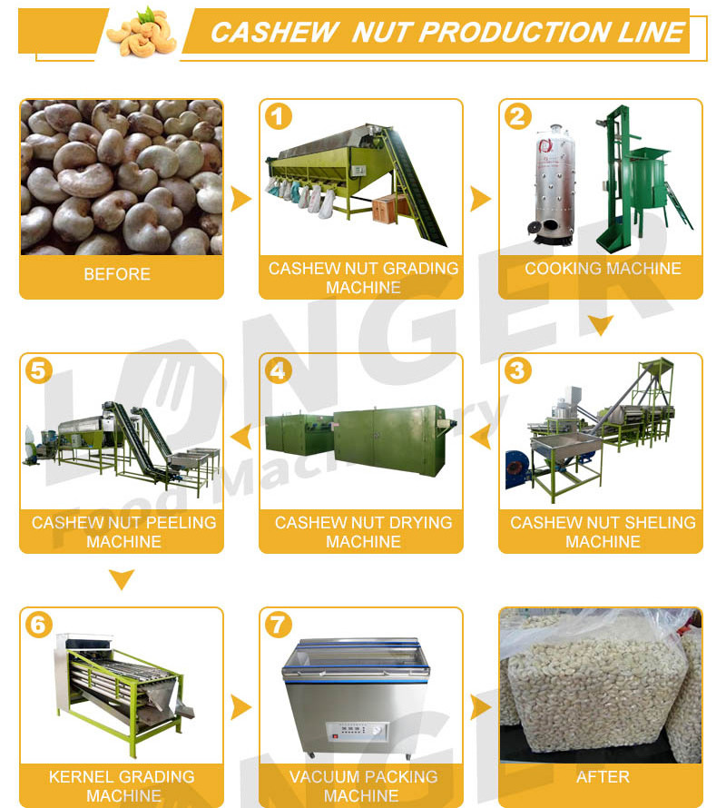 Cashew Nut process line/cashew nut processing machine