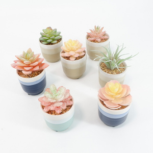 Artificial rare succulents ceramic pot, office, computer desk, restaurant home decoration