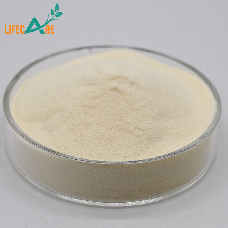 Lifecare High quality Organic Oat Beta Glucan Powder 70% with best quality