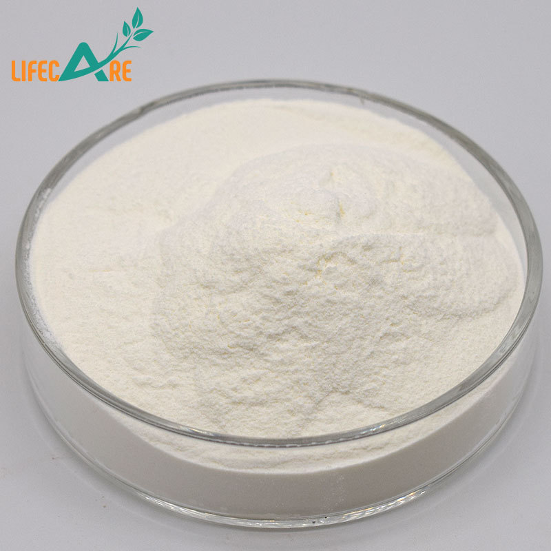 Wholesale High Quality Whey Protein Isolate Bulk Isolate Whey Protein Powder