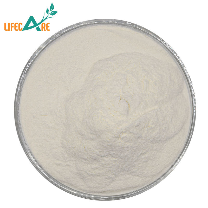 Wholesale Price Organic Bulk Coconut Milk Powder Coconut Cream Powder