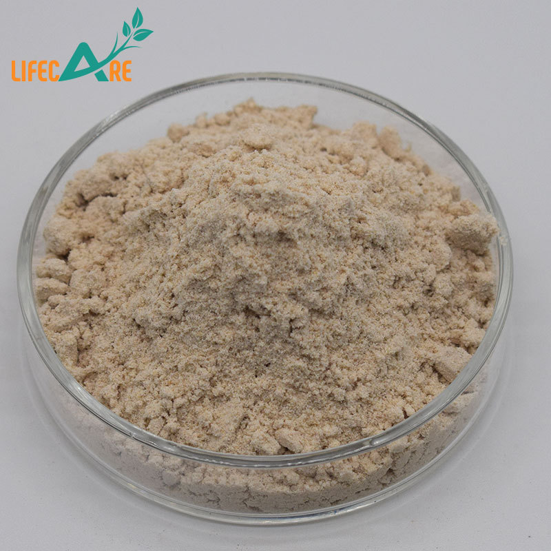 Best quality Almond Protein Powder 50% Almond Protein Almond Extract