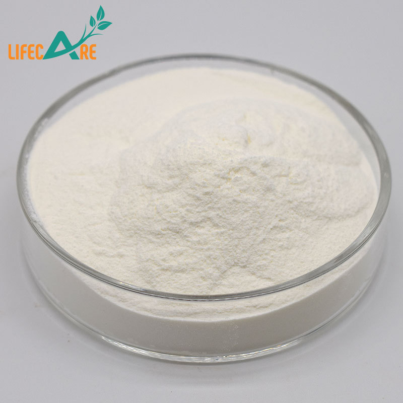 Wholesale Price Organic Bulk Coconut Milk Powder Coconut Cream Powder