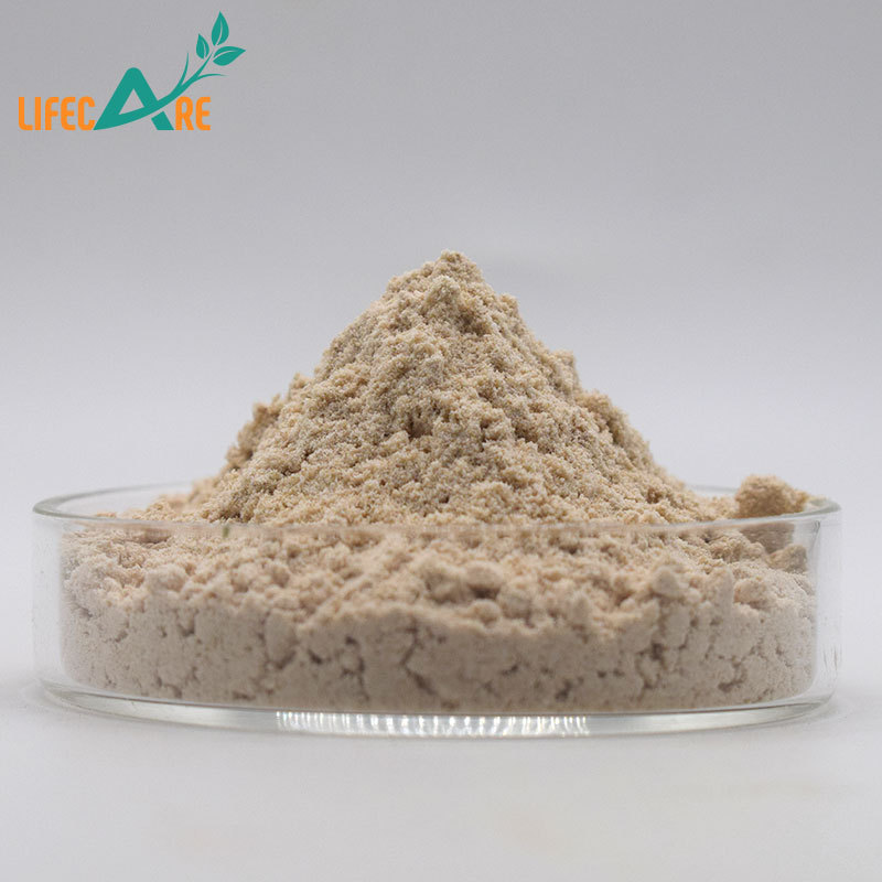 Best quality Almond Protein Powder 50% Almond Protein Almond Extract