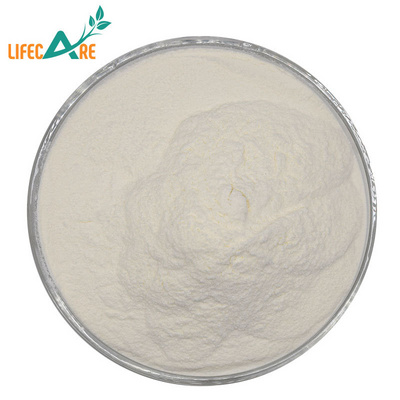 Wholesale High Quality Whey Protein Isolate Bulk Isolate Whey Protein Powder