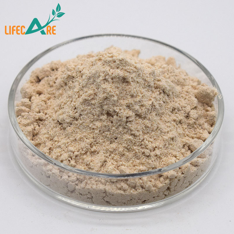 Best quality Almond Protein Powder 50% Almond Protein Almond Extract