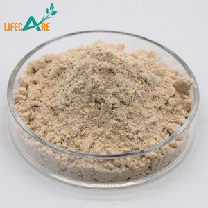 Best quality Almond Protein Powder 50% Almond Protein Almond Extract