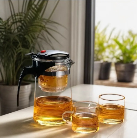 Home glass teapot pot loose leaf tea maker Portable coffee glass maker with built-in infuser and removable filter